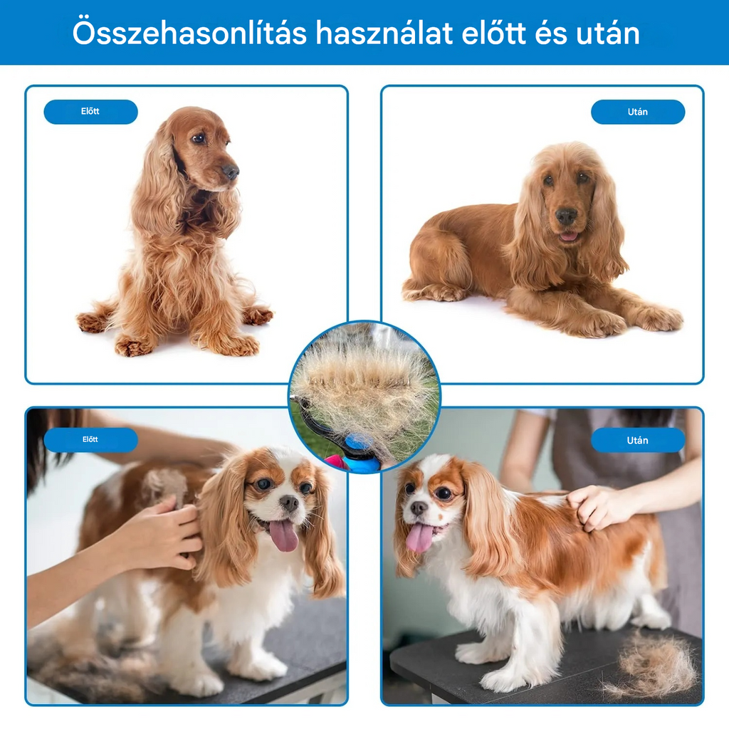 【Vásároljon 1-et, kapjon 1-et ingyen】 Professzionális eszköz kutyák és macskák elhalt szőrének eltávolítására: gyengéd, hatékony és szőrmentes otthon ✨💖