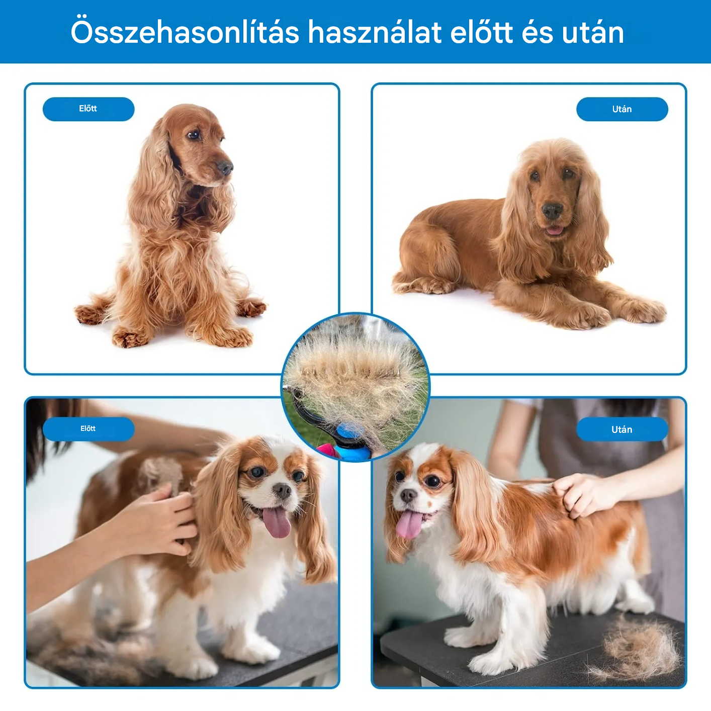 【Vásároljon 1-et, kapjon 1-et ingyen】 Professzionális eszköz kutyák és macskák elhalt szőrének eltávolítására: gyengéd, hatékony és szőrmentes otthon ✨💖