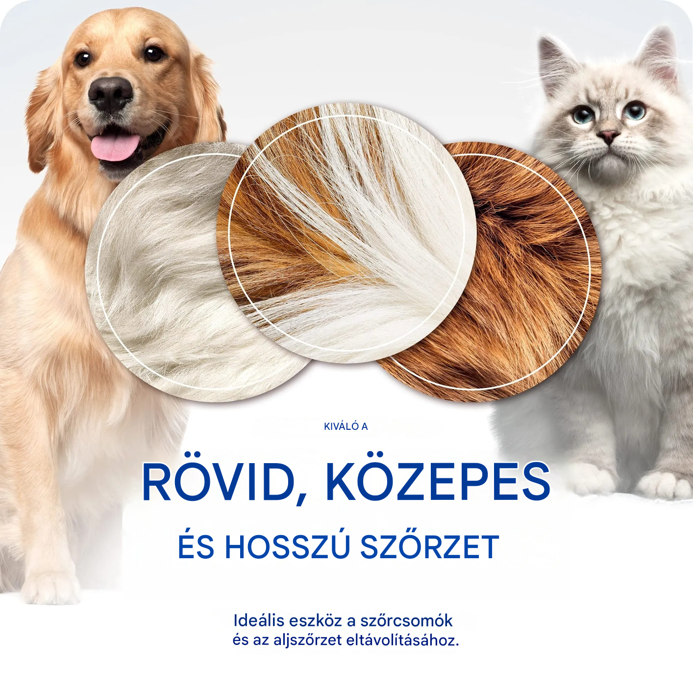 【Vásároljon 1-et, kapjon 1-et ingyen】 Professzionális eszköz kutyák és macskák elhalt szőrének eltávolítására: gyengéd, hatékony és szőrmentes otthon ✨💖